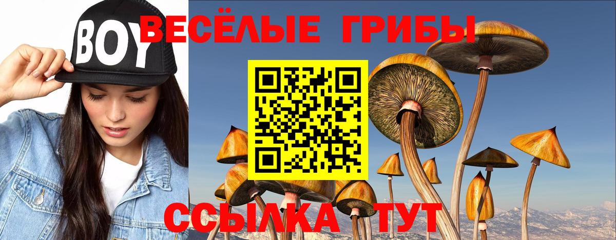 Псилоцибиновые грибы Magic Shrooms  Галлюциногенные грибы GOLDEN TEACHER  Уварово  Вход с VPN 